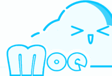 MoeCloud|台湾Hinet|动态IP|250Mbps起|月付￥159起-主机小白