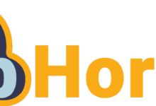 webhorizon|新加坡vps|4折优惠|AMD EPYC™ 7003|1TB@5Gbps|移动直连|月付$2.4-主机小白